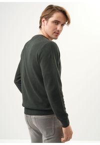Ochnik - Zielony bawełniany sweter męski z logo. Kolor: zielony. Materiał: bawełna. Długość: długie. Wzór: aplikacja