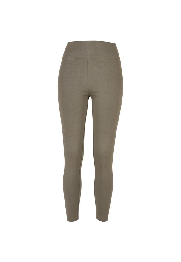 Damskie legginsy z dżerseju z wysokim stanem Urban Classics. Stan: podwyższony. Kolor: zielony. Materiał: jersey