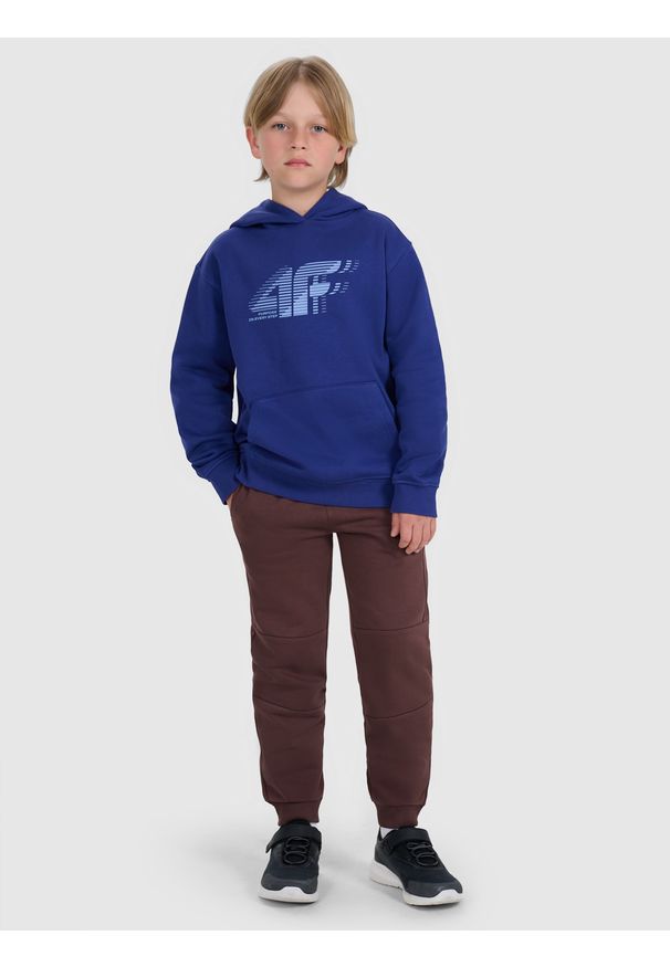 4f - 4F Spodnie dresowe joggery chłopięce - brązowe 122 (6-7 lat). Okazja: na co dzień. Kolor: brązowy. Materiał: dresówka. Wzór: gładki, ze splotem. Sezon: lato. Styl: młodzieżowy, casual, sportowy