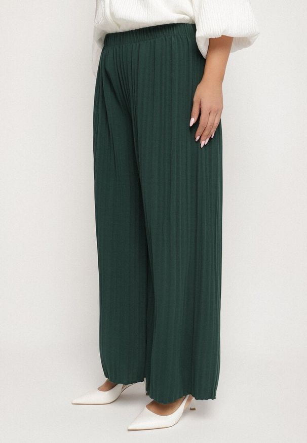 Born2be - Zielone Szerokie Spodnie z Plisowanej Tkaniny z Gumką w Pasie Cesele. Kolekcja: plus size. Kolor: zielony. Materiał: tkanina. Styl: elegancki