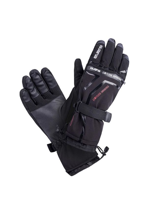 Rękawice narciarskie męskie Iguana Adamo, Rozmiar L/XL. Materiał: poliester, syntetyk, materiał. Technologia: Thinsulate. Sport: narciarstwo