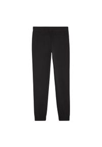 Puma - Damskie Spodnie Do Biegania Team Goal Casuals. Kolor: czarny. Sport: turystyka piesza