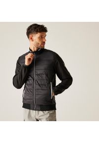 Regatta - Kurtka turystyczna hybrydowa męska Brennon. Kolor: fioletowy. Materiał: tkanina, puch, poliamid. Sport: turystyka piesza #1