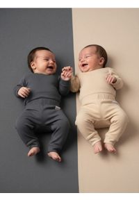 Sinsay - Ocieplane spodnie 2 pack - szary. Kolor: szary #1