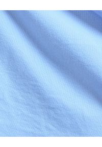 Ralph Lauren - RALPH LAUREN - Niebieska koszula Oxford Custom Fit. Okazja: na co dzień, do pracy. Typ kołnierza: polo. Kolor: niebieski. Materiał: bawełna. Długość rękawa: długi rękaw. Długość: długie. Wzór: haft. Styl: casual