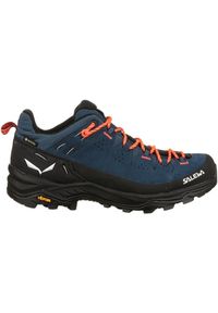 Buty Trekkingowe Damskie Salewa Alp Trainer 2 Gtx. Kolor: wielokolorowy, czarny. Materiał: materiał, skóra. Szerokość cholewki: normalna