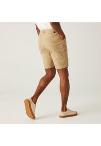 Regatta - Męskie spodenki Dalry Multi Pocket. Kolor: beżowy. Materiał: materiał