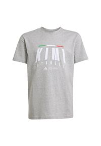 Adidas - Koszulka Mercedes - AMG Petronas Formula One Team Kimi Antonelli Kids. Kolor: szary. Sport: joga i pilates