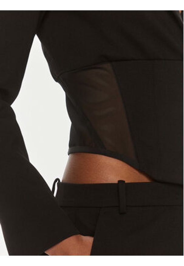 Pinko Marynarka Goldrake Giacca . 101717 A13E Czarny Slim Fit. Kolor: czarny. Materiał: wiskoza