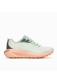 Damskie buty trekkingowe Merrell Morphlite. Kolor: niebieski. Sport: bieganie #1