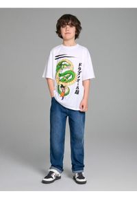 Sinsay - Koszulka DragonBall - biały. Kolor: biały