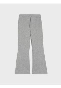 Sinsay - Spodnie flare - szary. Kolor: szary #1
