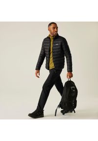 Regatta - Marizion Męska kurtka turystyczna z przegrodami. Kolor: szary. Materiał: puch. Sport: outdoor, turystyka piesza #1