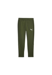 Puma Spodnie Evostripe 67593231. Kolor: brązowy, zielony, wielokolorowy