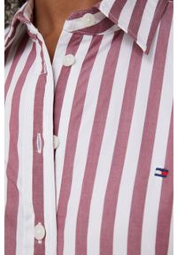 TOMMY HILFIGER - Tommy Hilfiger Koszula bawełniana damska kolor różowy regular z kołnierzykiem klasycznym. Okazja: na co dzień. Typ kołnierza: kołnierzyk klasyczny. Kolor: biały. Materiał: bawełna. Długość rękawa: długi rękaw. Długość: długie. Styl: casual, klasyczny #2