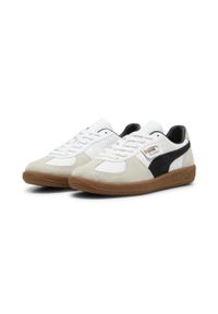 Trenerzy ze skóry Puma Palermo. Kolor: biały. Materiał: materiał, zamsz, syntetyk, guma, skóra. Sport: turystyka piesza #2