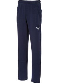Spodnie dla chłopca Puma Liga Casuals Pants granatowe 655635 06. Kolor: fioletowy, biały, wielokolorowy, niebieski. Sport: piłka nożna