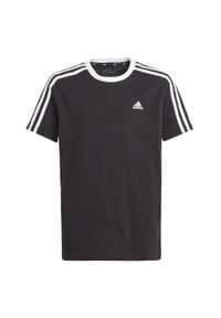 Adidas - Essentials 3-Stripes Cotton Loose Fit Boyfriend Tee. Kolor: czarny, wielokolorowy, biały