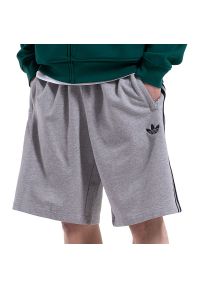 Adidas - Spodenki męskie adidas Originals 3-Stripes KE2433 - szare. Kolor: szary. Materiał: bawełna. Długość: do kolan. Sport: fitness #1