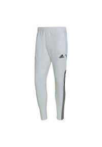 Spodnie do piłki nożnej męskie Adidas Real Madrid Condivo 22 Training Pants. Kolor: biały. Materiał: dresówka, materiał