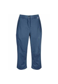 Regatta - Capri Damskie Chaska II. Kolor: szary, niebieski, wielokolorowy. Sport: turystyka piesza #1