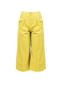 Pinko Spodnie "Teso 4" | 1G161E Y6VX | Teso 4 | Kobieta | Zielony. Stan: podwyższony. Kolor: zielony. Materiał: bawełna #5