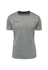 Koszulka sportowa Poliestrowa T-shirt Hummel Authentic Poly Jersey. Kolor: szary. Materiał: jersey, poliester. Sport: fitness