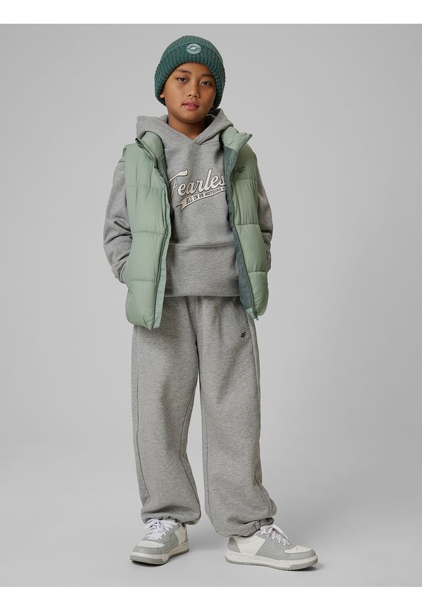 4f - 4F Bezrękawnik z wypełnieniem syntetycznym chłopięcy - miętowy 128 (7-8 lat). Okazja: na co dzień. Typ kołnierza: kołnierzyk stójkowy. Kolor: turkusowy. Materiał: syntetyk. Długość rękawa: bez rękawów. Sezon: lato. Styl: casual, sportowy