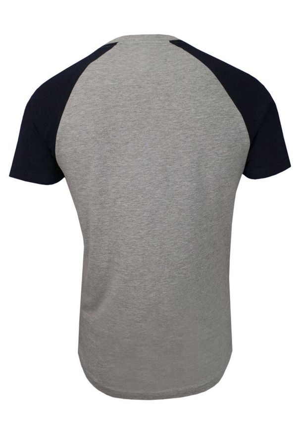 Szaro-Czarny Bawełniany T-Shirt Męski -Brave Soul- Koszulka, Krótki Rękaw, Logo. Okazja: na co dzień. Kolor: wielokolorowy, czarny, szary. Materiał: bawełna, wiskoza. Długość rękawa: krótki rękaw. Długość: krótkie. Wzór: napisy, nadruk. Sezon: lato, wiosna. Styl: casual