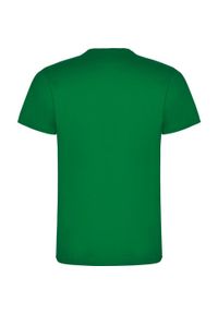 ROLY - Męska Koszulka Dogo Premium. Kolor: zielony. Sport: turystyka piesza