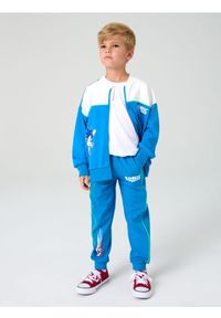 Sinsay - Spodnie dresowe Sonic the Hedgehog: Modern - mid blue. Materiał: dresówka