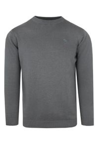 Klasyczny Sweter Męski - Rigon - Bawełna - Ciemny Popiel. Materiał: bawełna. Wzór: nadruk. Styl: klasyczny #1