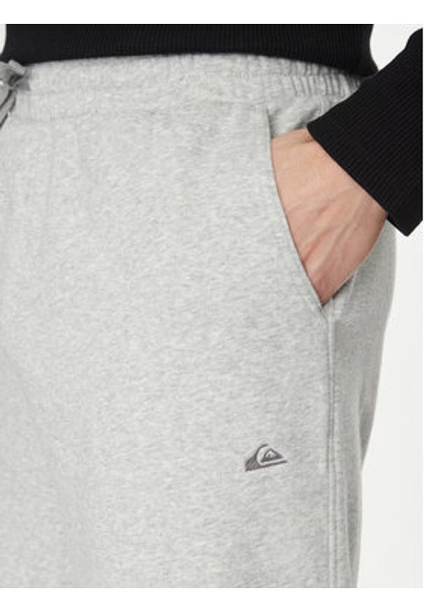 Quiksilver Spodnie dresowe Salt Water AQYFB03034 Szary Regular Fit. Kolor: szary. Materiał: bawełna