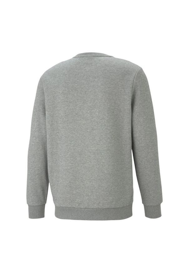 Puma - Bluza Męska Essentials Big Logo Z Okrągłym Dekoltem. Kolor: szary