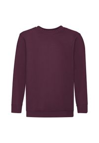 FRUIT OF THE LOOM - Bluza Dziecięca Premium W Komplecie. Kolor: czerwony, wielokolorowy, brązowy