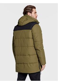 Halti Płaszcz zimowy Linjat 065-0419 Zielony Regular Fit. Kolor: zielony. Materiał: syntetyk. Sezon: zima