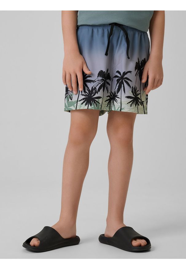 4f - 4F Spodenki plażowe boardshorty chłopięce - multikolor 146/152 (10-12 lat). Kolor: wielokolorowy