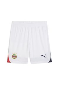 Puma - Męskie szorty piłkarskie SK Rapid Wiedeń PUMA White Red Navy Blue. Kolor: wielokolorowy, biały, czerwony, niebieski. Sport: piłka nożna