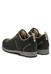Dolomite Trekkingi 54 Low FG EVO GTX 292530-119 Czarny. Kolor: czarny. Materiał: skóra. Sport: turystyka piesza
