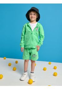 Sinsay - Szorty Pokémon - zielony. Kolor: zielony. Materiał: bawełna. Wzór: nadruk