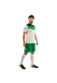 Komplet piłkarski Givova Kit Campo. Kolor: czarny, zielony, wielokolorowy. Materiał: dresówka. Sport: piłka nożna