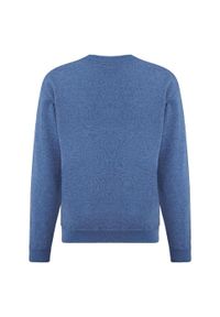 FRUIT OF THE LOOM - Sportowa Bluza Dziecięca Zwykła. Kolor: niebieski. Wzór: nadruk