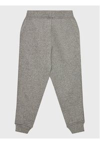 Polo Ralph Lauren Spodnie dresowe 322882873002 Szary Regular Fit. Kolor: szary. Materiał: bawełna