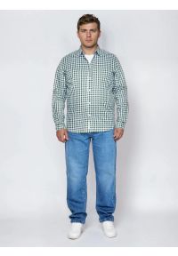 Big-Star - Koszula męska bawełniana w kratę zielono-białą Frankinis 303. Kolor: zielony. Materiał: bawełna. Wzór: kratka, ze splotem. Styl: elegancki #10