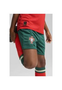 Puma - Młodzieżowe szorty Portugalia 2025 PUMA Blessing Green Sugared Almond Beige. Kolor: wielokolorowy, beżowy, zielony