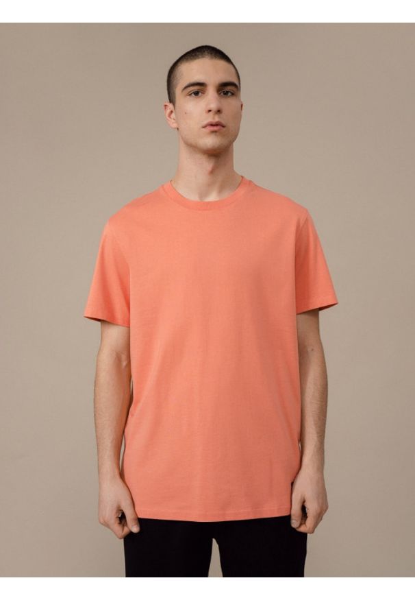 outhorn - T-shirt z nadrukiem męski. Okazja: na co dzień. Materiał: jersey, bawełna. Wzór: nadruk. Styl: casual