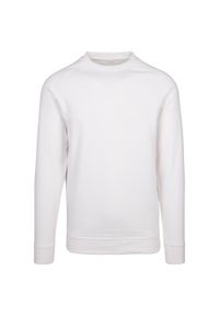 BUILD YOUR BRAND - Bluza Unisex Dla Dorosłych Dekolt W Szpic Raglanowa. Kolor: biały. Długość rękawa: raglanowy rękaw