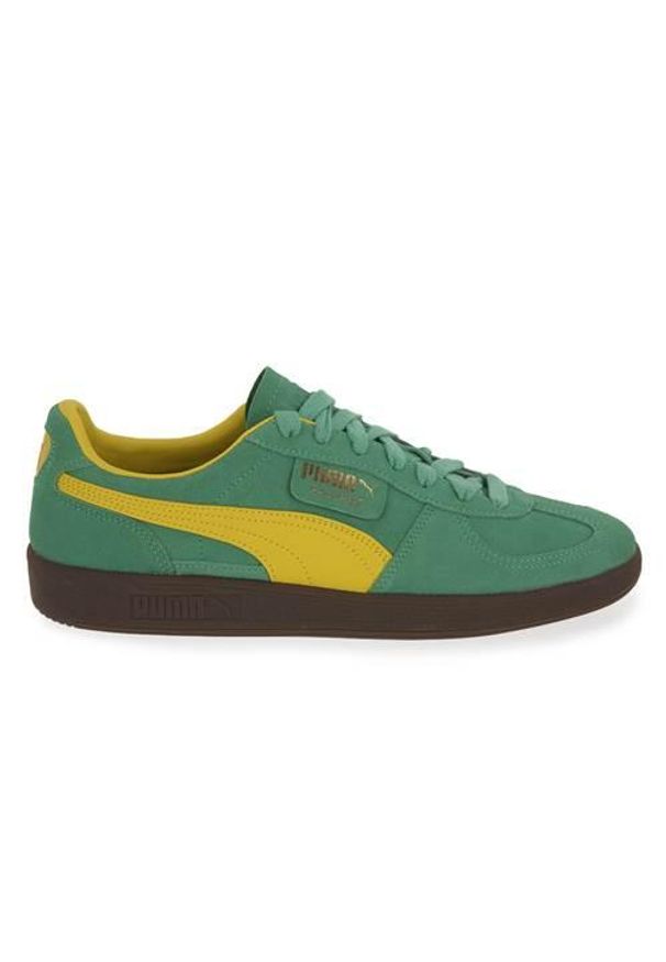 Buty do chodzenia męskie Puma Palermo. Kolor: zielony. Materiał: zamsz. Szerokość cholewki: normalna. Sport: turystyka piesza