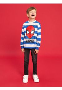 Sinsay - Koszulka z długimi rękawami Marvel - Inny. Długość rękawa: długi rękaw. Długość: długie. Wzór: motyw z bajki