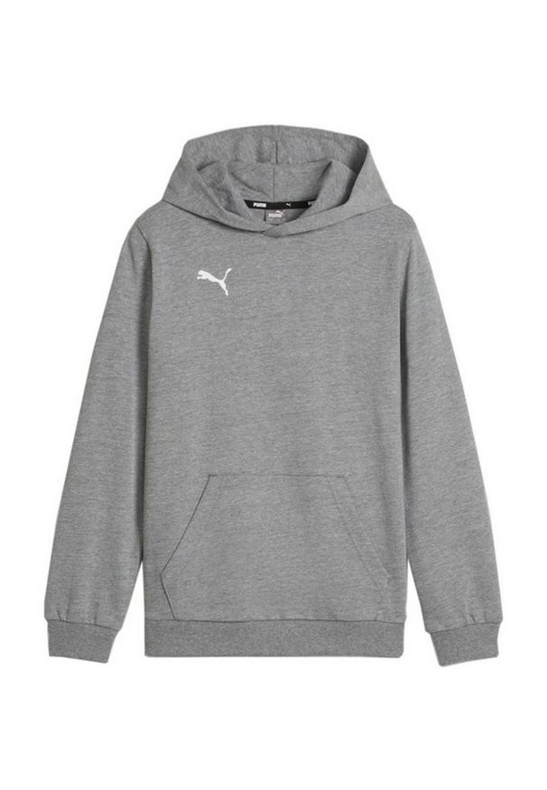 Puma - Bluza Z Kapturem Dziecięca Team Goal Casuals. Typ kołnierza: kaptur. Kolor: szary. Sport: joga i pilates